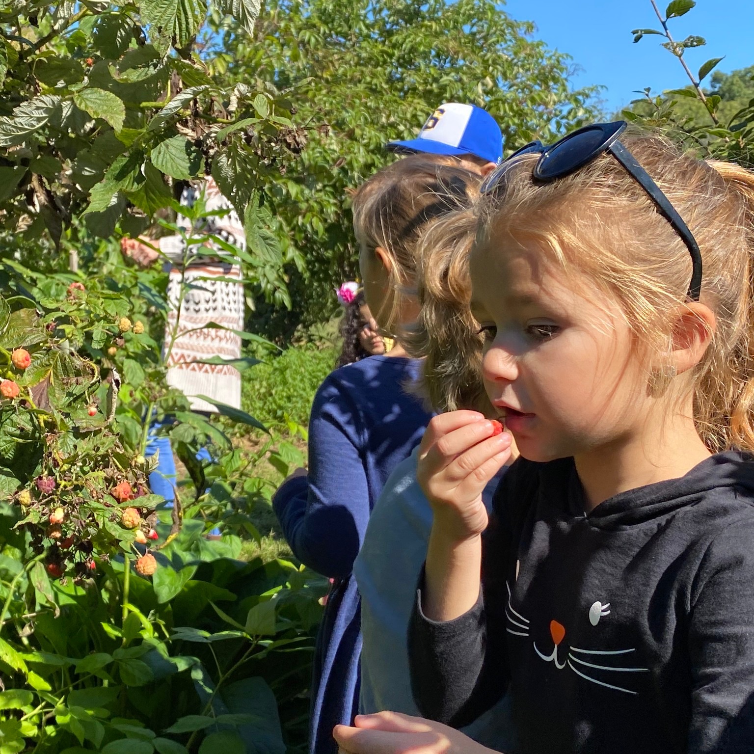 Honey's Harvest Farm