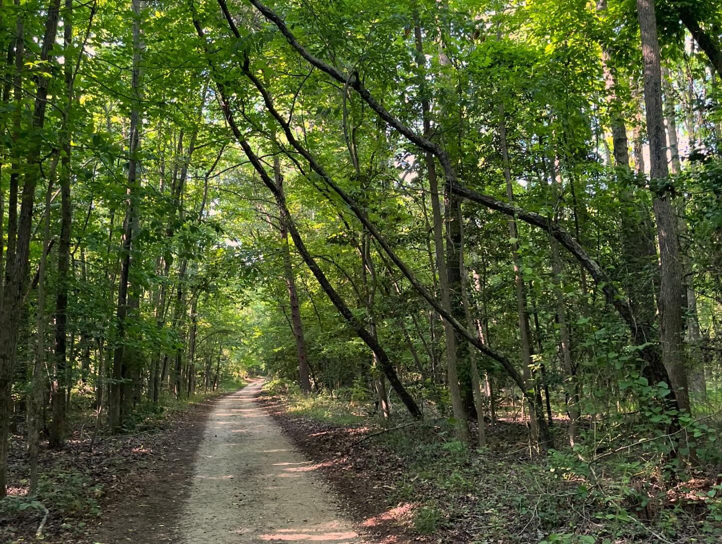 Beverly Triton Nature Park