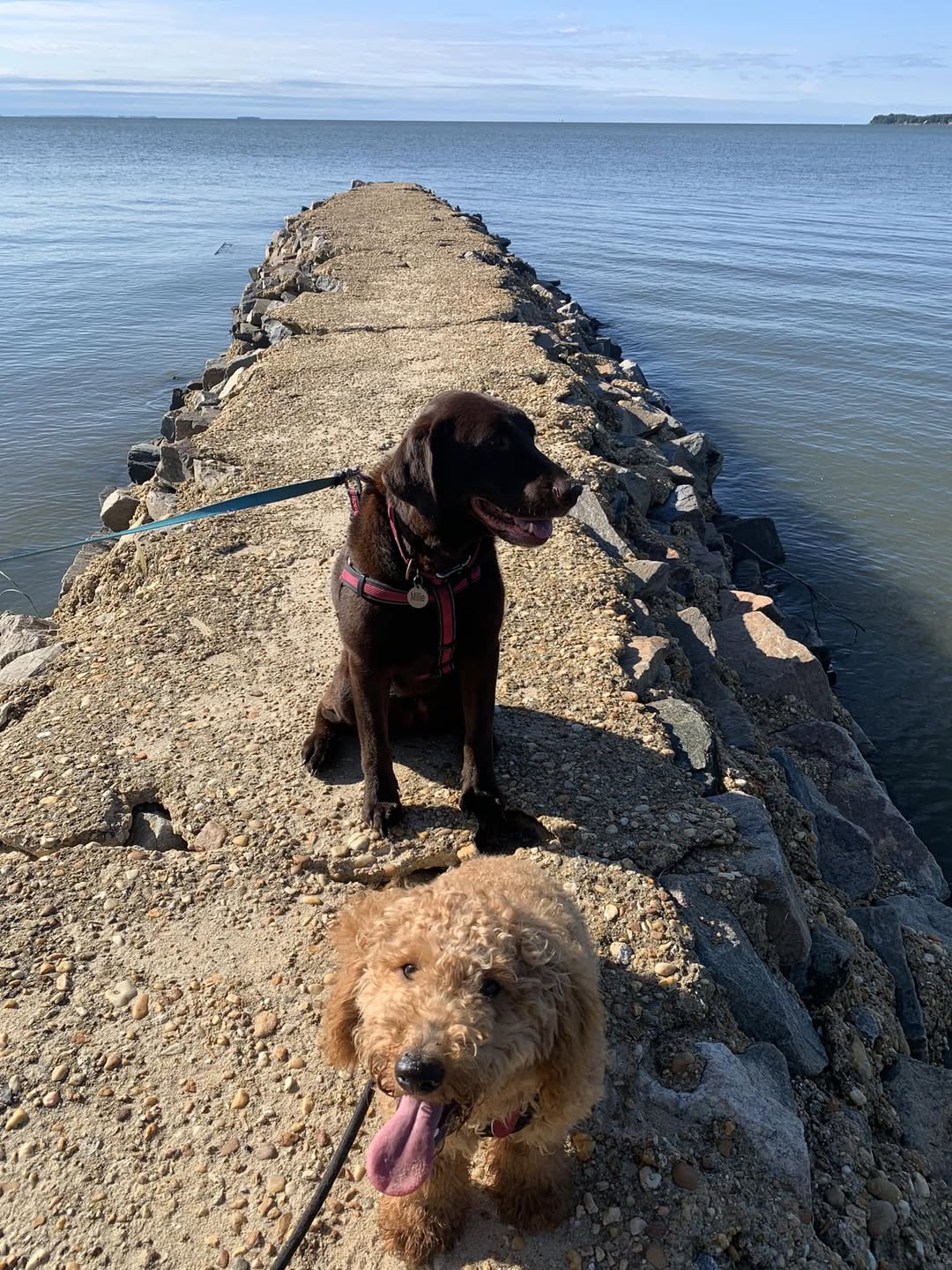 Beverly Triton Nature Park