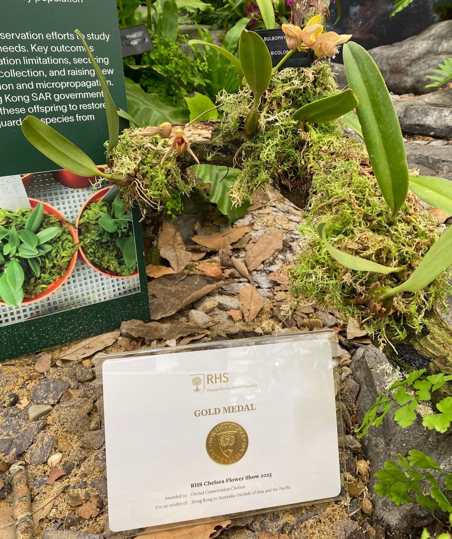 Smithsonian Environmental Research Center (SERC)