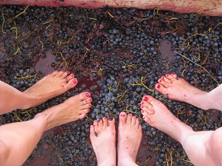 Fridays Creek Winery