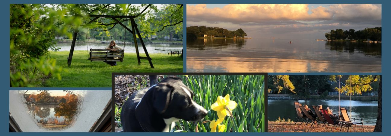 The Best Time of Year to Visit Chesapeake Paradise (and Why!)